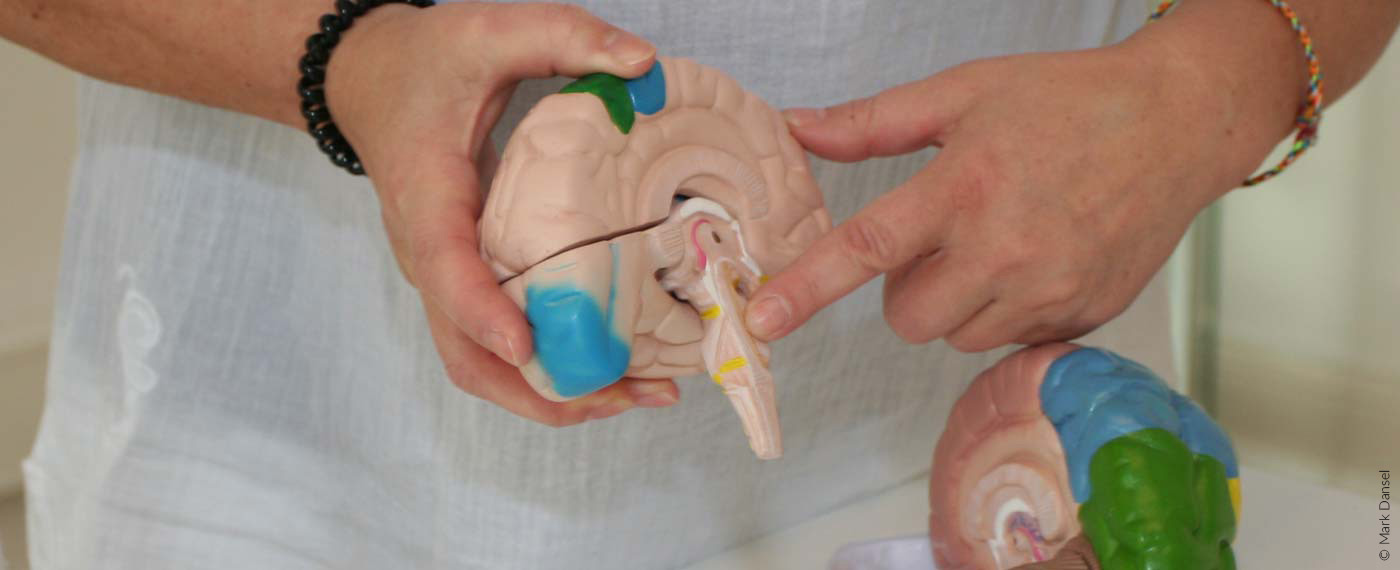 Coaching Ausbildungen